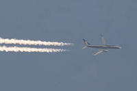 EI-DLD